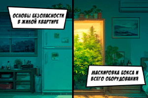 Растим автоцвет. Подготовка к первому грову