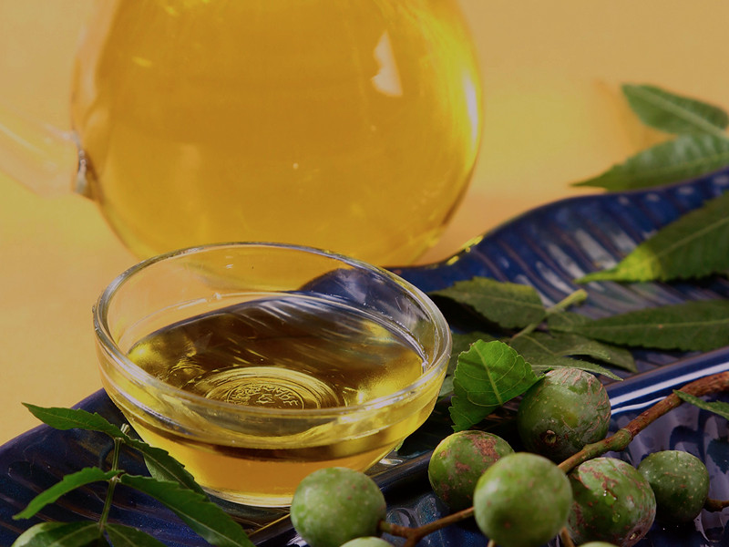 Масло Нима эффективно защищает коноплю от насекомых Масло Нима отличный пестицид