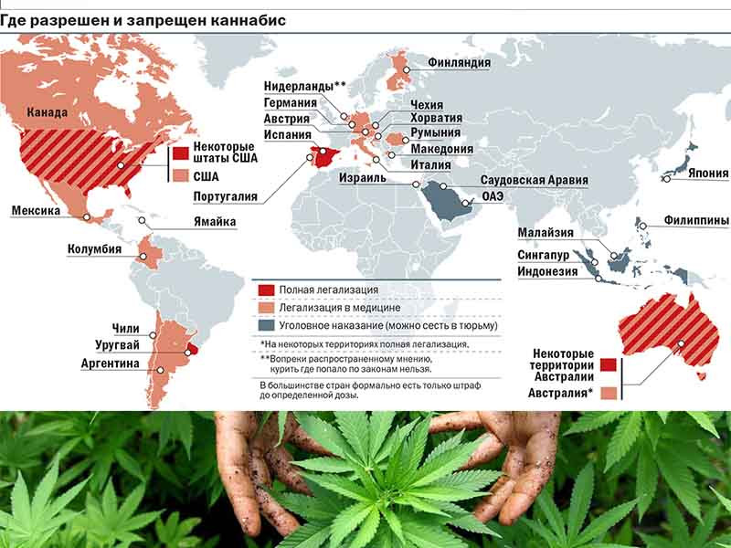 Легализация на карте мира легализация каннабиса