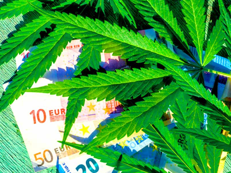 Отношение к каннабису в Европе Отношение к марихуане в Европе