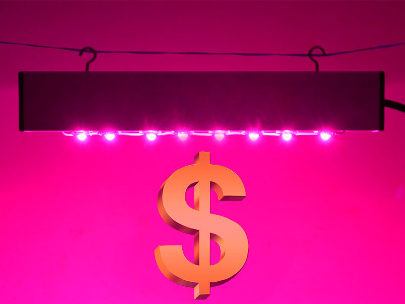 Дороговизна диодного освещения LED не дёшевы