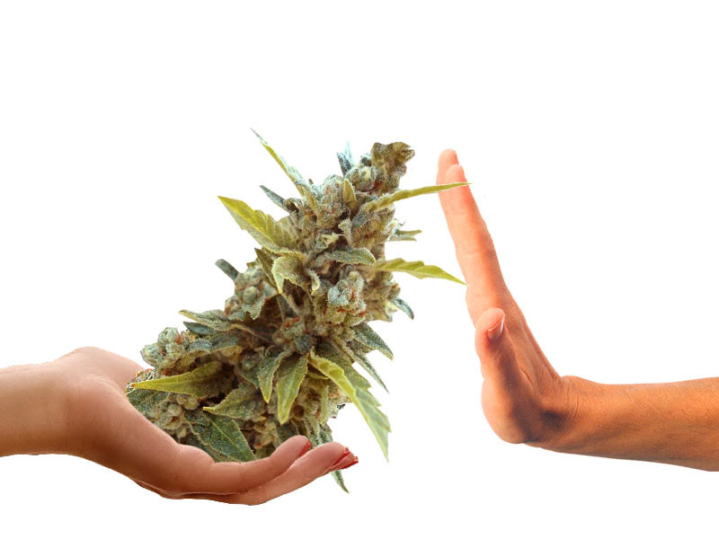 Отказ от употребления марихуаны Отказ от употребления марихуаны